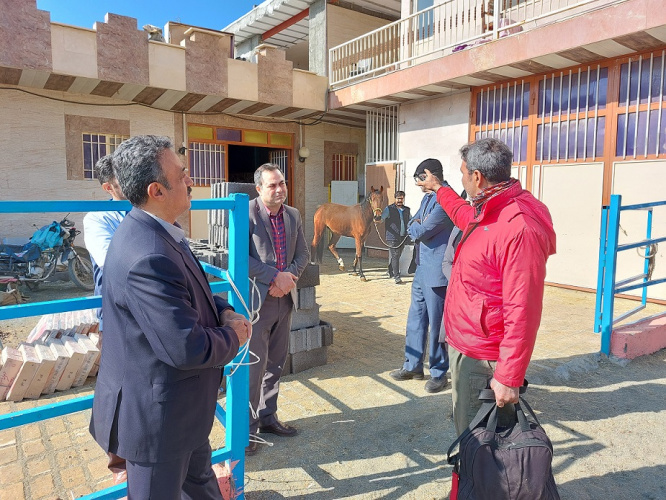 تاسیس مرکز علمی کاربردی پرورش اسب می تواند اشتغال جوانان را در کردستان فراهم کند